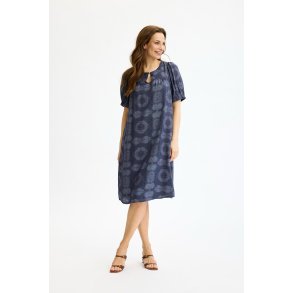 17147 Oli dress