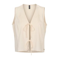 2945 PENELOPE Veste