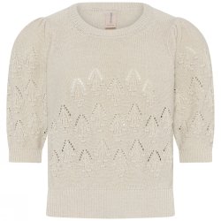 3731 Openwork short sleeve pul