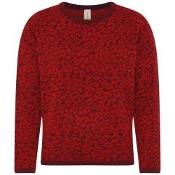 4029 Animal patterned pullover