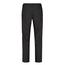 100884 Taylor regular SL